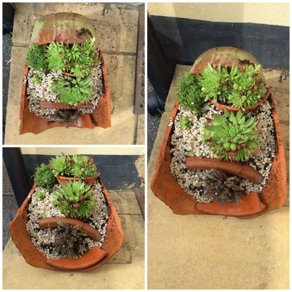 Fairy/Mini garden finished project
